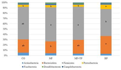 Miscanthus Grass as a Novel Functional Fiber Source in Extruded Feline Diets